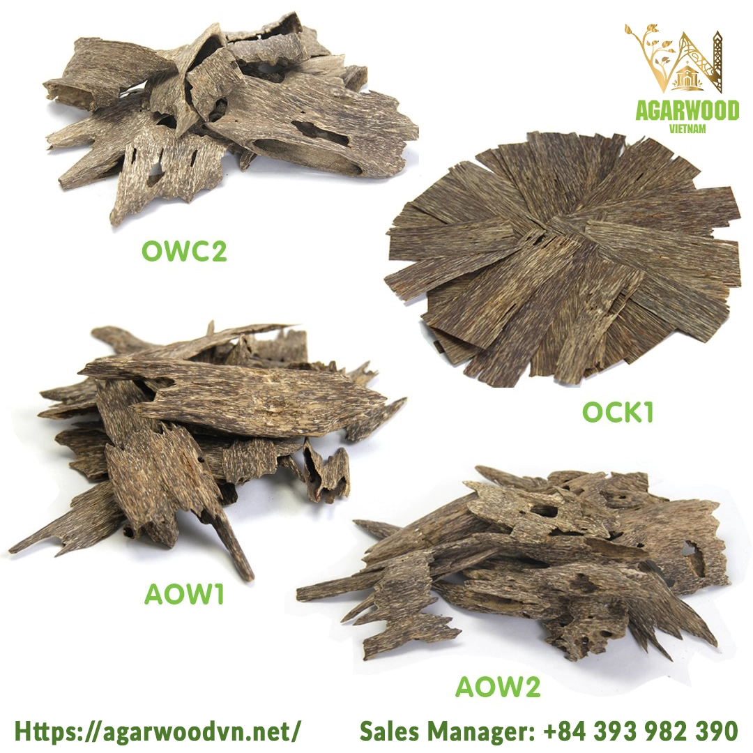4 Types Oud Wood super Special Grade