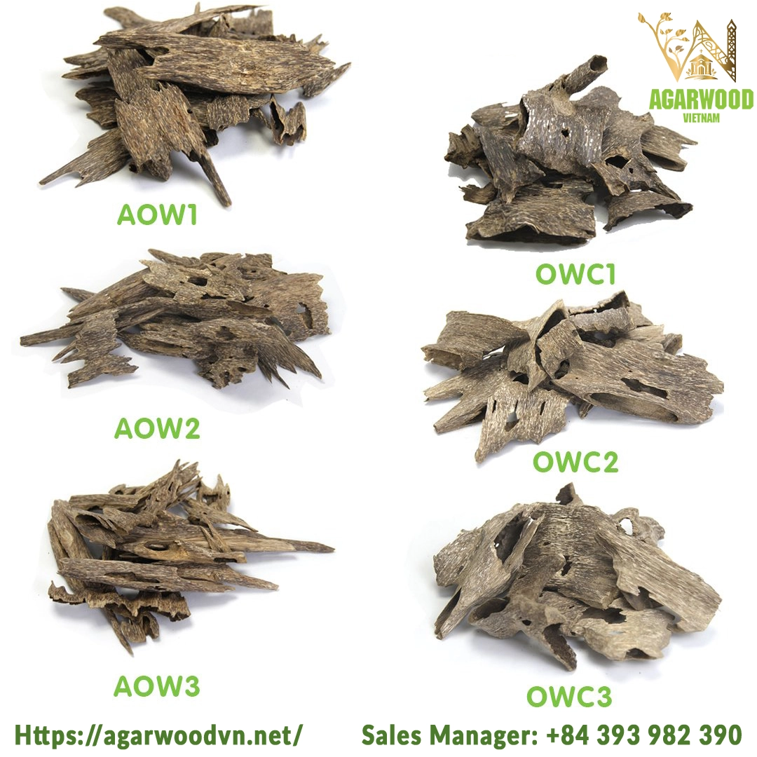 6 Types Oud Wood super Special Grade