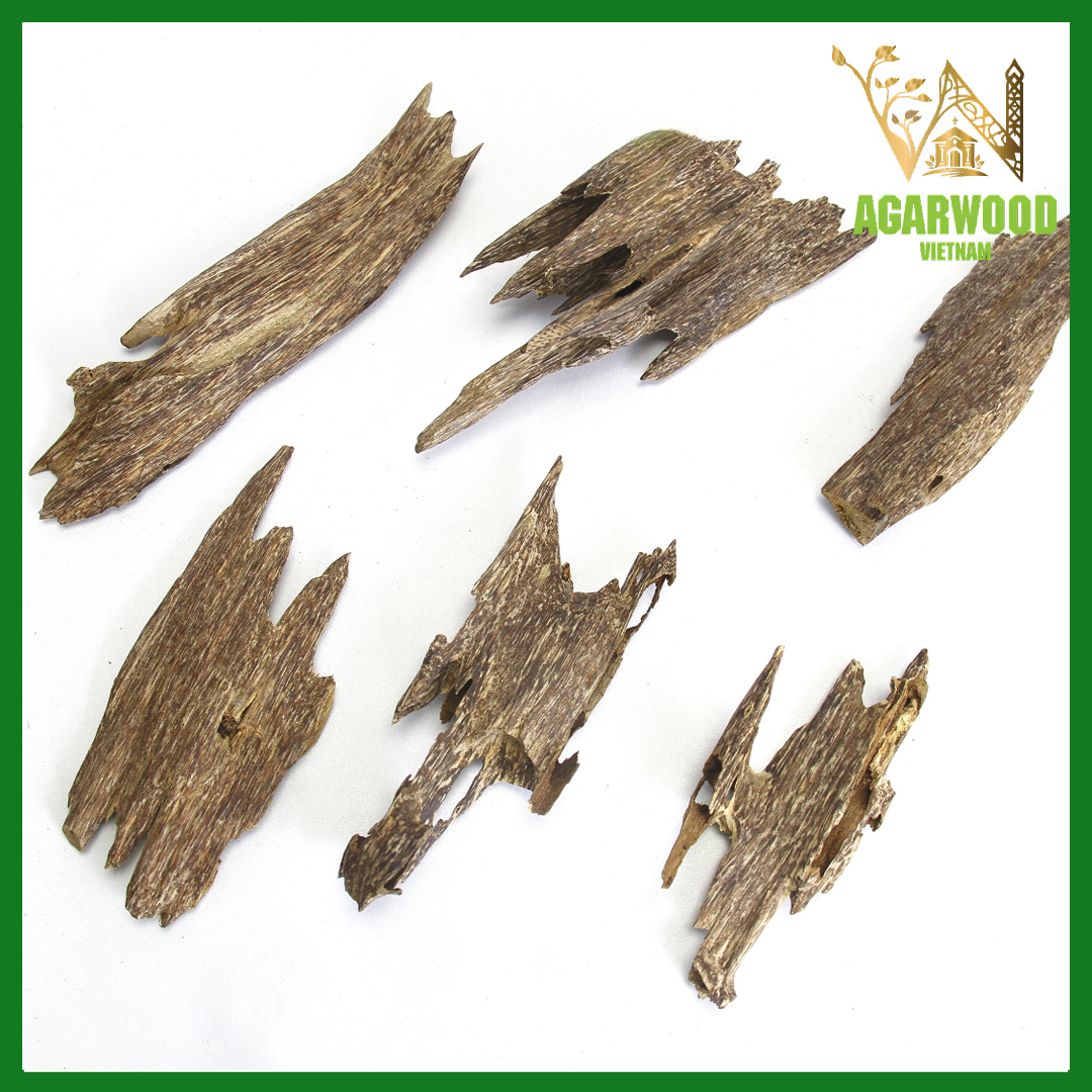Ant Wood Oud Chips Grade Special-5
